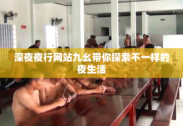 深夜夜行网站九幺带你探索不一样的夜生活