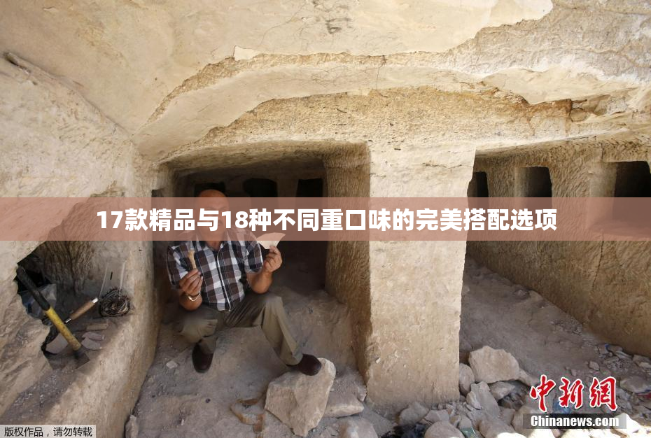 17款精品与18种不同重口味的完美搭配选项