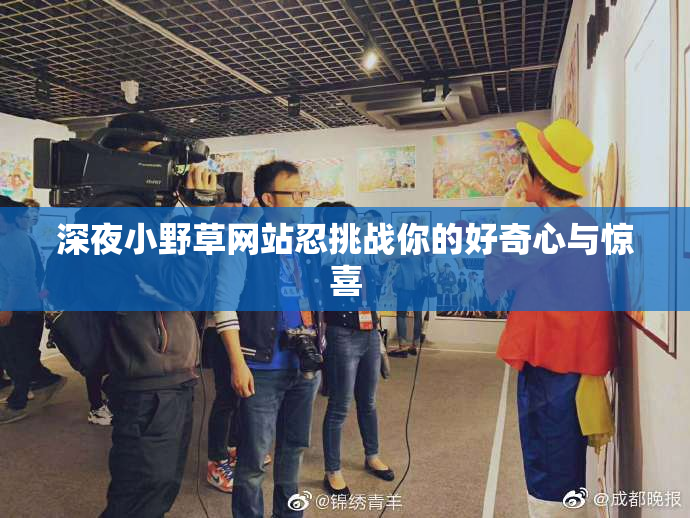 深夜小野草网站忍挑战你的好奇心与惊喜
