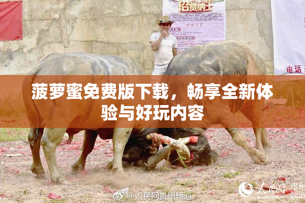 菠萝蜜免费版下载，畅享全新体验与好玩内容