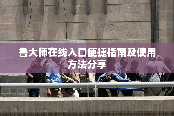 鲁大师在线入口便捷指南及使用方法分享