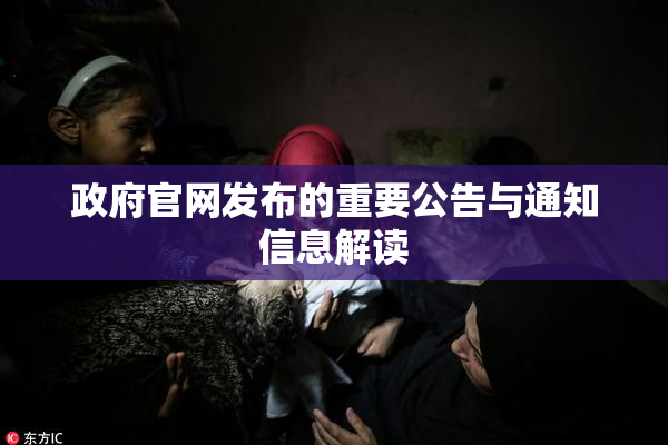 政府官网发布的重要公告与通知信息解读