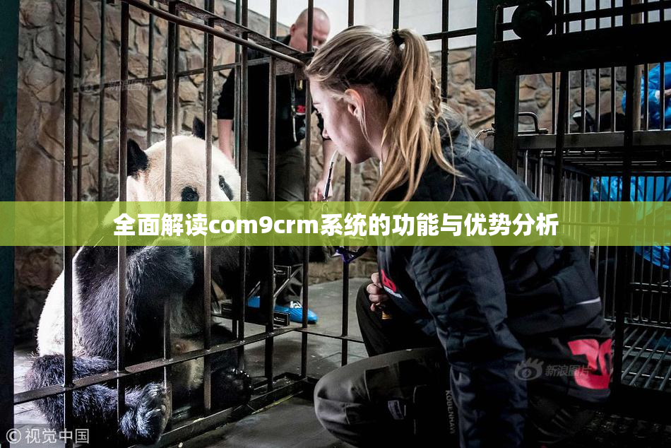 全面解读com9crm系统的功能与优势分析