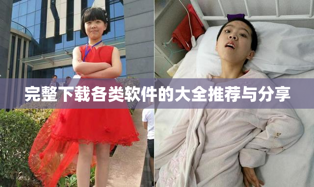 完整下载各类软件的大全推荐与分享