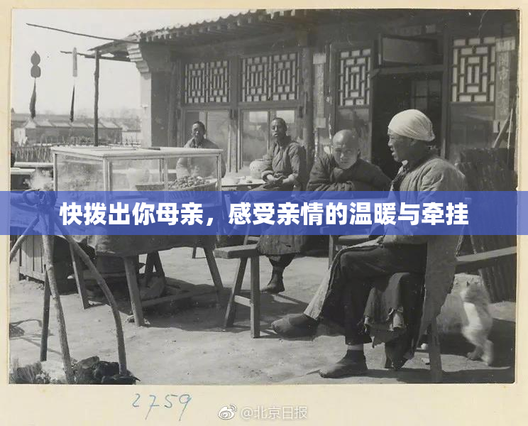快拨出你母亲，感受亲情的温暖与牵挂