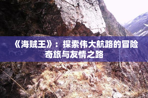 《海贼王》：探索伟大航路的冒险奇旅与友情之路