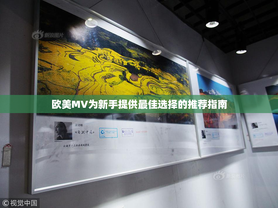 欧美MV为新手提供最佳选择的推荐指南