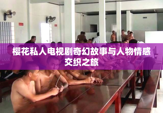 樱花私人电视剧奇幻故事与人物情感交织之旅
