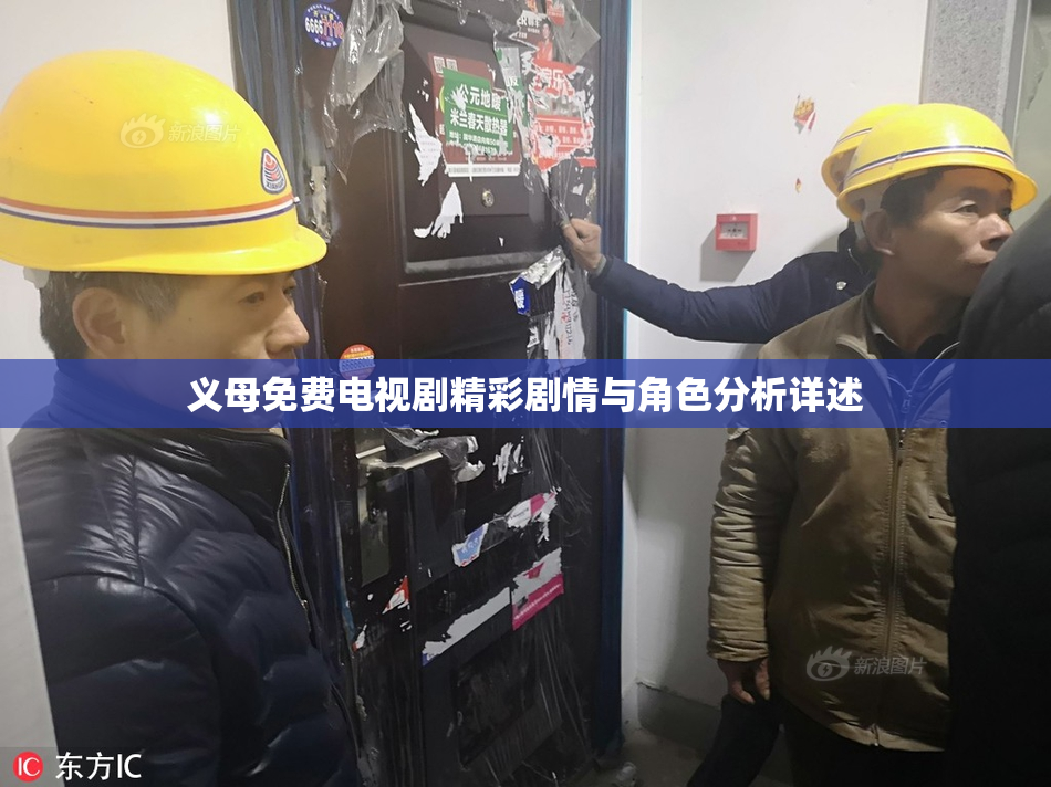 义母免费电视剧精彩剧情与角色分析详述