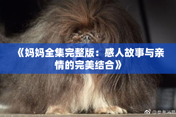 《妈妈全集完整版：感人故事与亲情的完美结合》