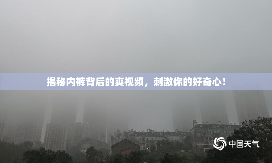 揭秘内裤背后的爽视频，刺激你的好奇心！