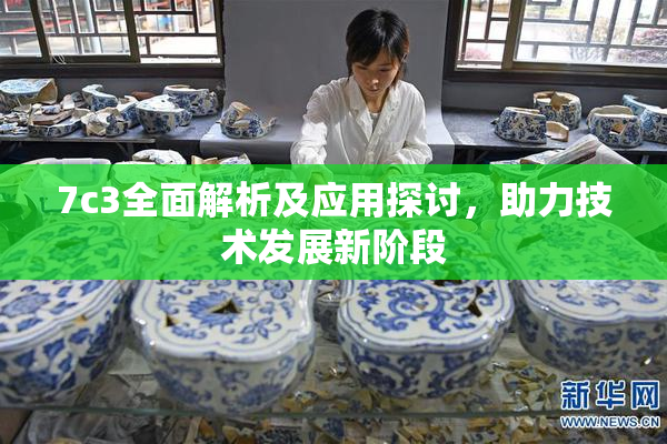 7c3全面解析及应用探讨，助力技术发展新阶段