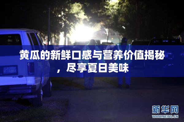 黄瓜的新鲜口感与营养价值揭秘，尽享夏日美味