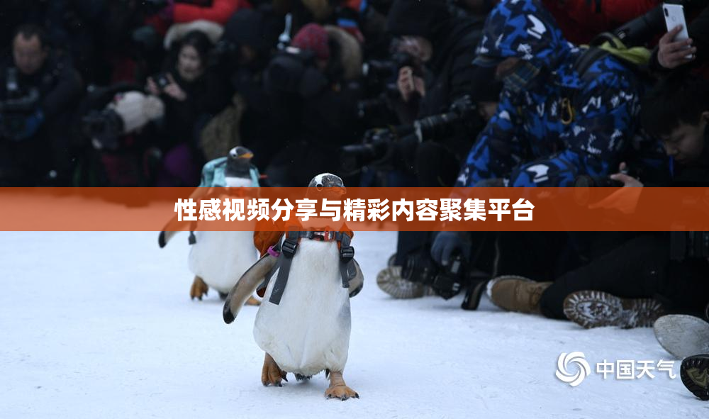 性感视频分享与精彩内容聚集平台
