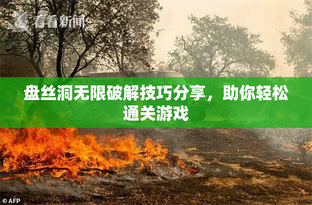 盘丝洞无限破解技巧分享，助你轻松通关游戏
