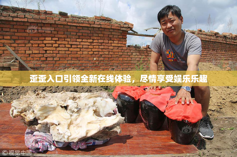 歪歪入口引领全新在线体验，尽情享受娱乐乐趣