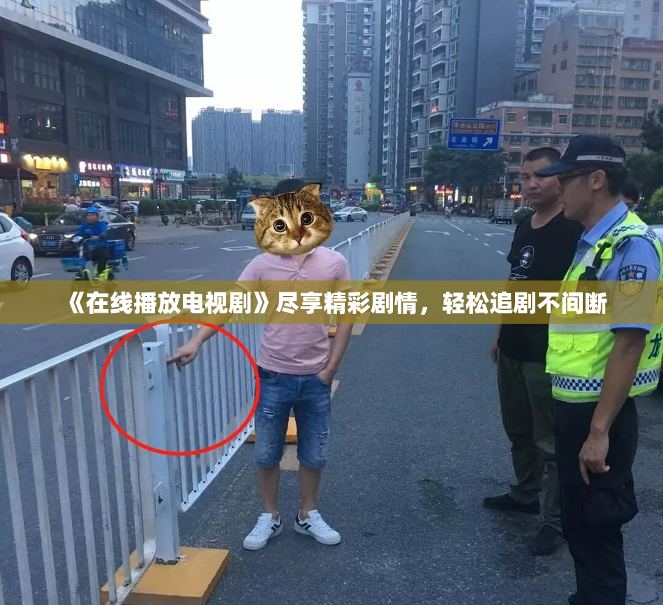 《在线播放电视剧》尽享精彩剧情，轻松追剧不间断