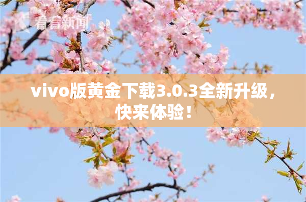vivo版黄金下载3.0.3全新升级，快来体验！