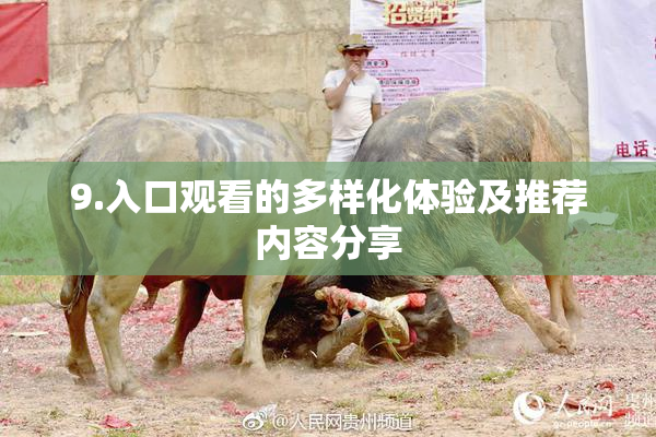 9.入口观看的多样化体验及推荐内容分享