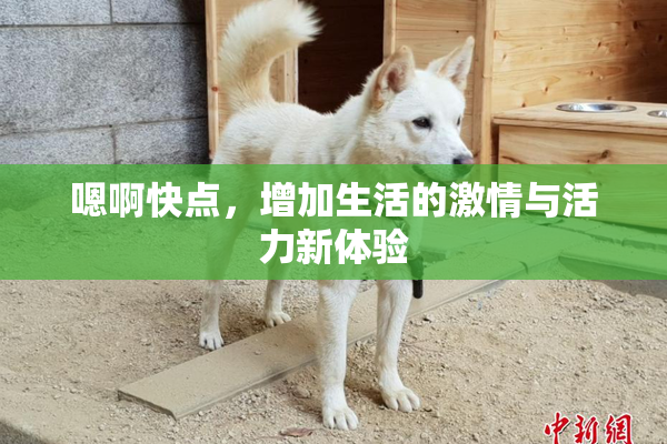 嗯啊快点，增加生活的激情与活力新体验