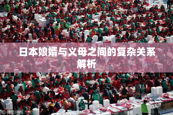 日本娘婿与义母之间的复杂关系解析
