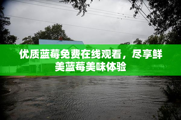 优质蓝莓免费在线观看，尽享鲜美蓝莓美味体验