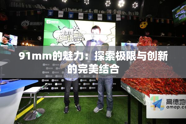 91mm的魅力：探索极限与创新的完美结合