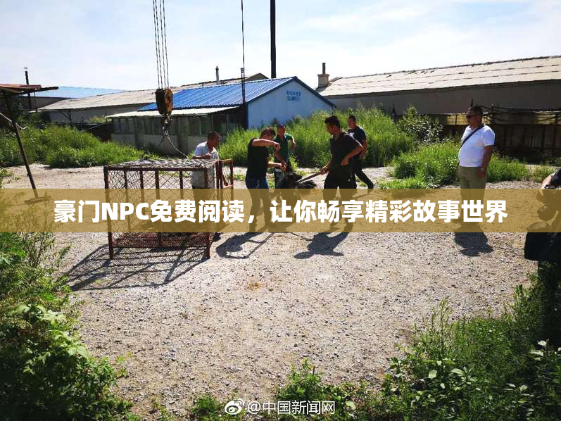豪门NPC免费阅读，让你畅享精彩故事世界