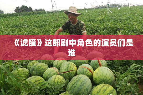 《滤镜》这部剧中角色的演员们是谁