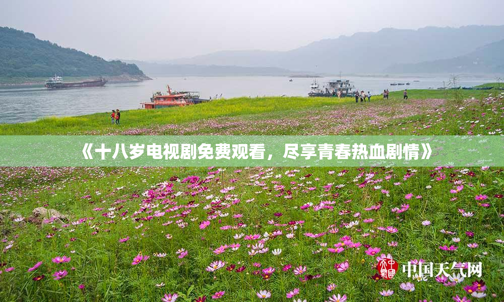 《十八岁电视剧免费观看，尽享青春热血剧情》
