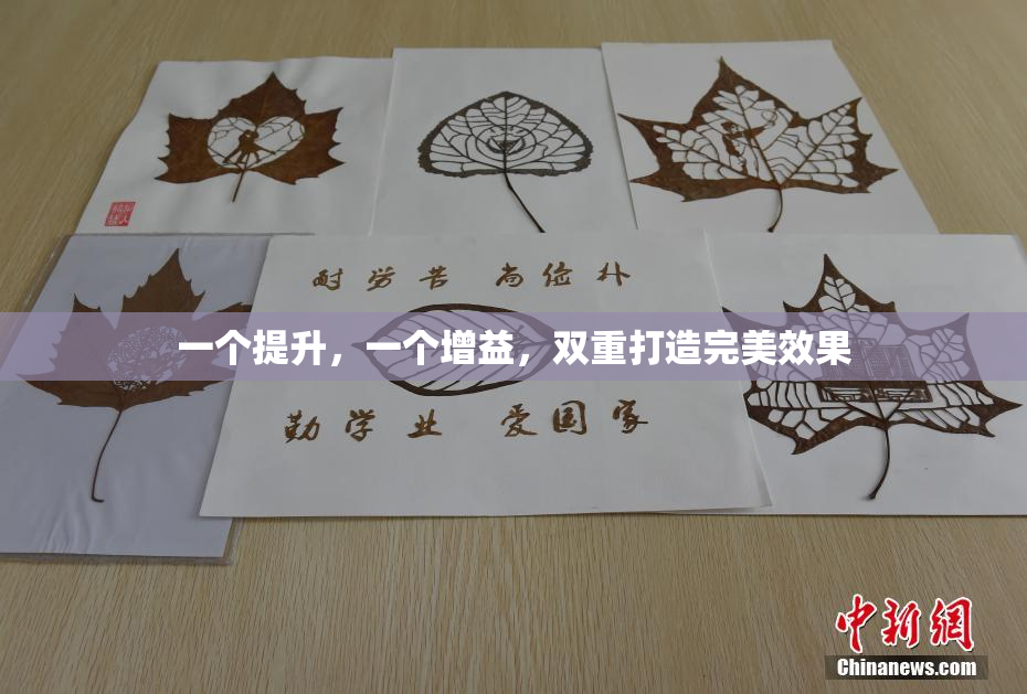 一个提升，一个增益，双重打造完美效果