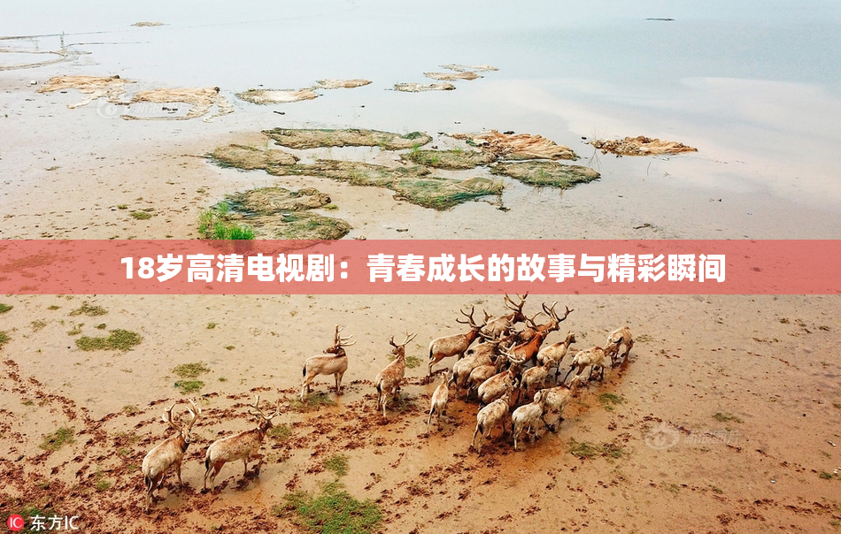 18岁高清电视剧：青春成长的故事与精彩瞬间
