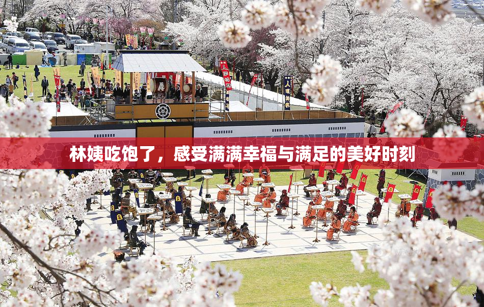 林姨吃饱了，感受满满幸福与满足的美好时刻