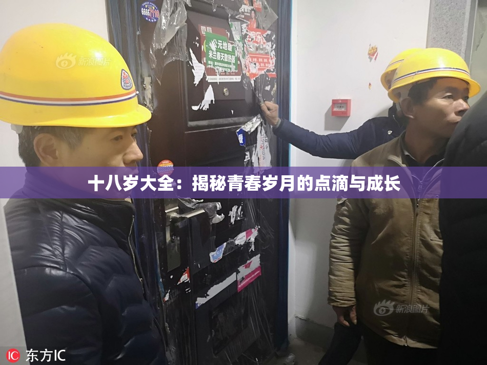 十八岁大全：揭秘青春岁月的点滴与成长