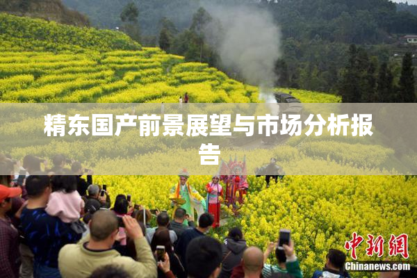 精东国产前景展望与市场分析报告