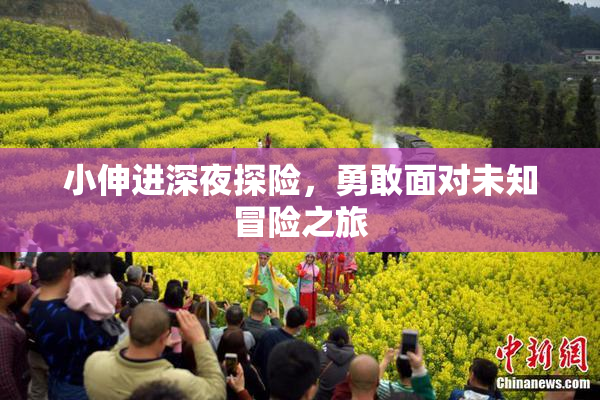小伸进深夜探险，勇敢面对未知冒险之旅