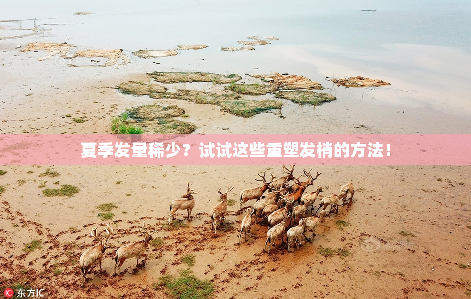 夏季发量稀少？试试这些重塑发梢的方法！