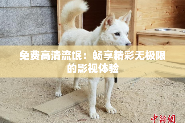 免费高清流氓：畅享精彩无极限的影视体验