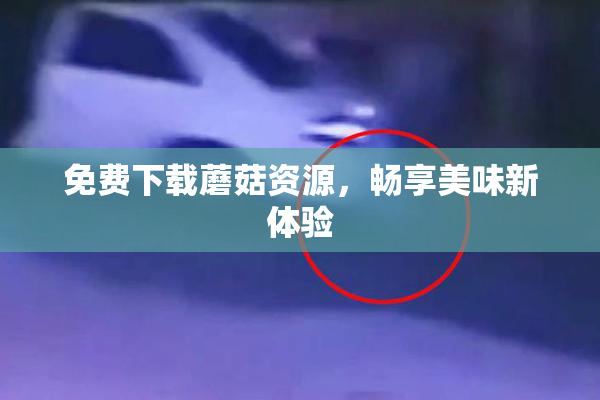 免费下载蘑菇资源，畅享美味新体验