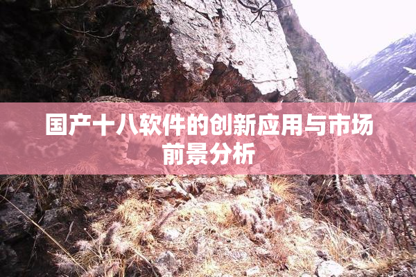 国产十八软件的创新应用与市场前景分析