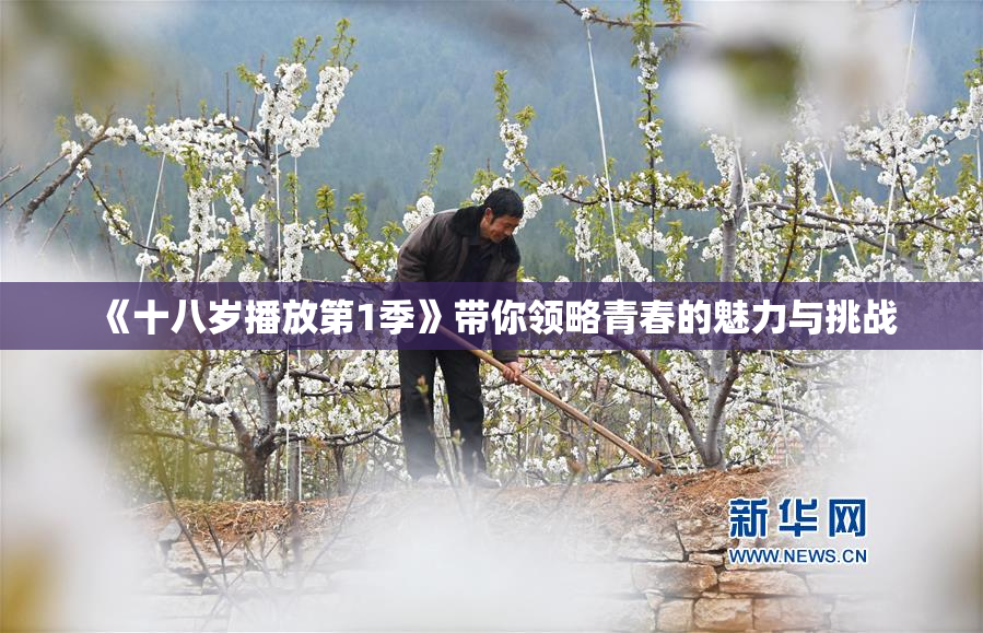 《十八岁播放第1季》带你领略青春的魅力与挑战
