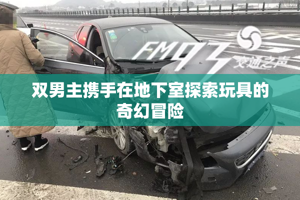 双男主携手在地下室探索玩具的奇幻冒险