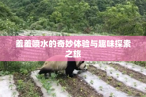 羞羞喷水的奇妙体验与趣味探索之旅