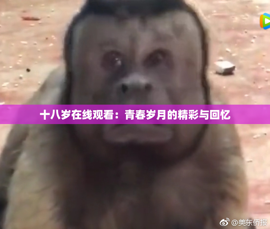 十八岁在线观看：青春岁月的精彩与回忆