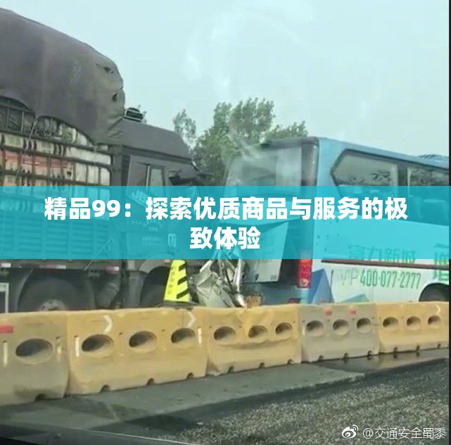 精品99：探索优质商品与服务的极致体验