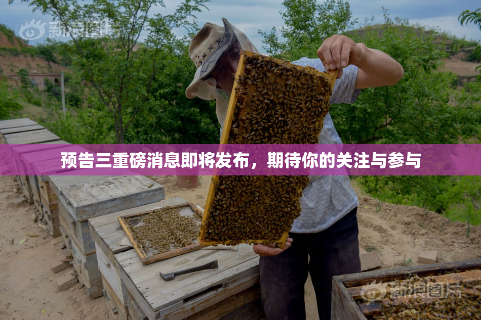 预告三重磅消息即将发布，期待你的关注与参与