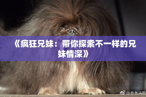 《疯狂兄妹：带你探索不一样的兄妹情深》