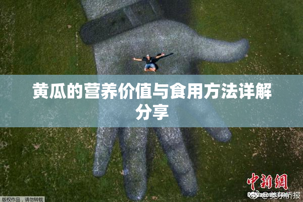 黄瓜的营养价值与食用方法详解分享