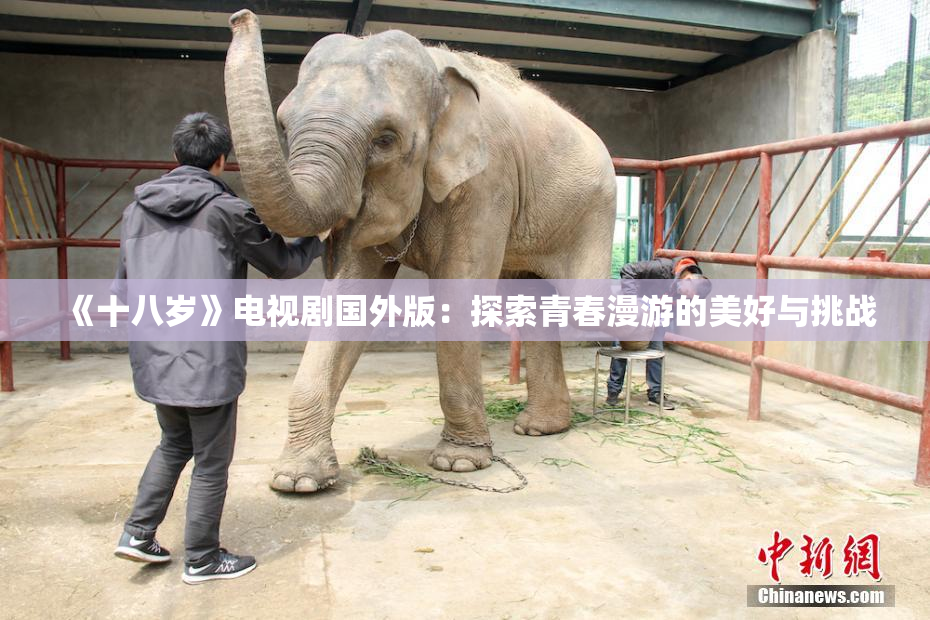 《十八岁》电视剧国外版：探索青春漫游的美好与挑战