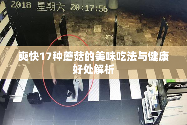爽快17种蘑菇的美味吃法与健康好处解析